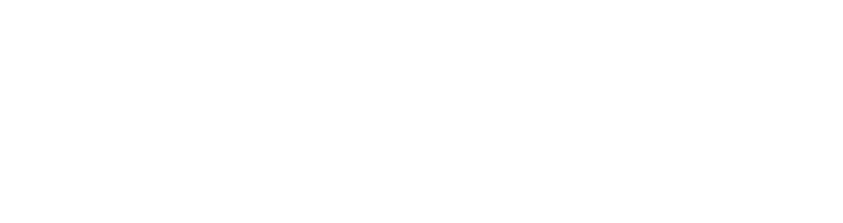 light logo